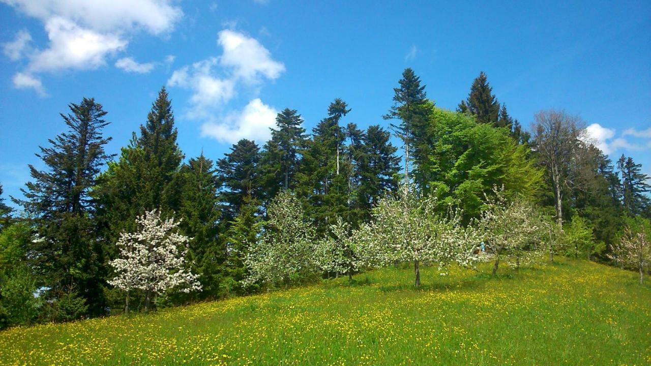 Апартаменти Stockreutehof Зульцберг Екстер'єр фото